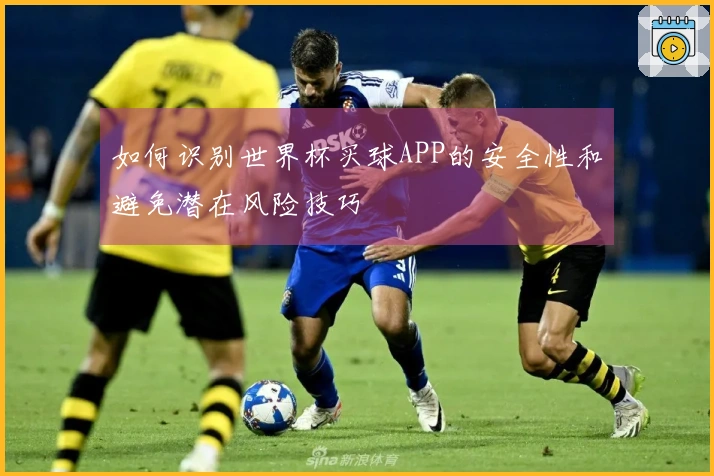 如何识别世界杯买球APP的安全性和避免潜在风险技巧