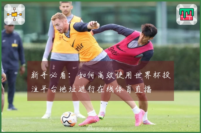 新手必看：如何高效使用世界杯投注平台地址进行在线体育直播