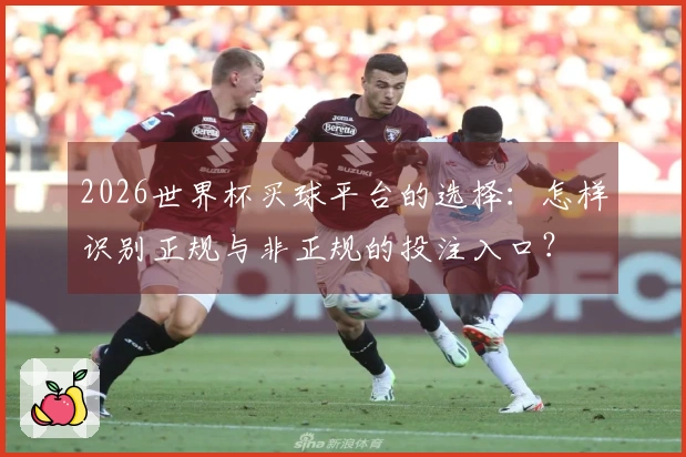 2026世界杯买球平台的选择：怎样识别正规与非正规的投注入口？