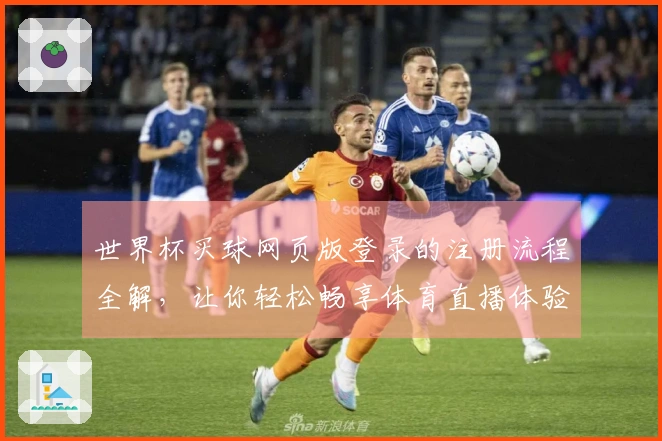 世界杯买球网页版登录的注册流程全解,让你轻松畅享体育直播体验