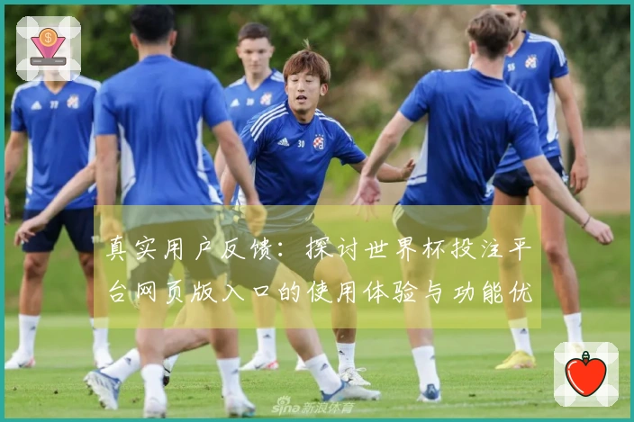 真实用户反馈：探讨世界杯投注平台网页版入口的使用体验与功能优势