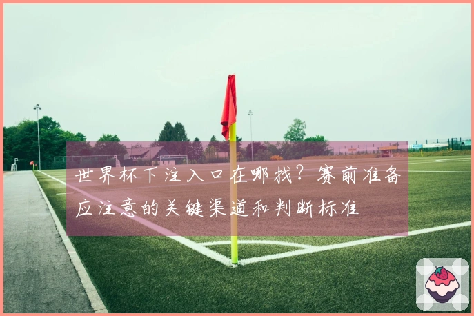 世界杯下注入口在哪找？赛前准备应注意的关键渠道和判断标准