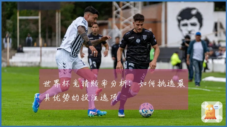 世界杯竞猜赔率分析：如何挑选最具优势的投注选项