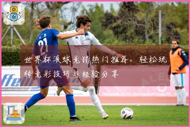 世界杯滚球竞猜热门推荐，轻松玩转竞彩技巧与经验分享