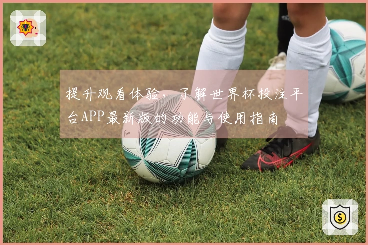 提升观看体验，了解世界杯投注平台APP最新版的功能与使用指南