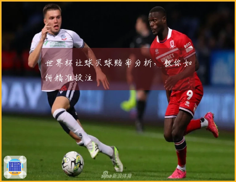 世界杯让球买球赔率分析，教你如何精准投注