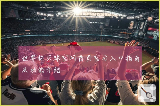 世界杯买球官网首页官方入口指南及功能介绍