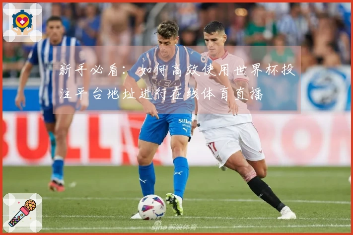 新手必看：如何高效使用世界杯投注平台地址进行在线体育直播