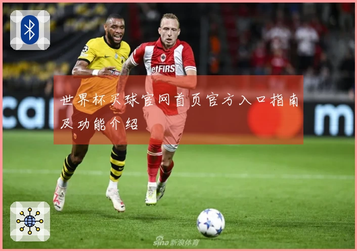 世界杯买球官网首页官方入口指南及功能介绍