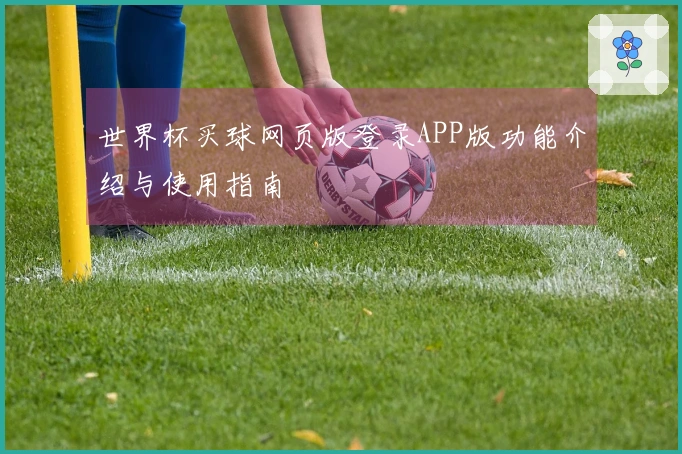世界杯买球网页版登录APP版功能介绍与使用指南