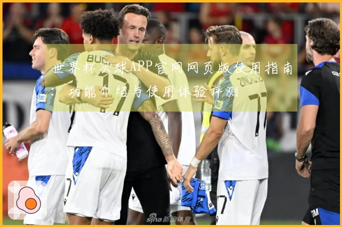 世界杯买球APP官网网页版使用指南：功能介绍与使用体验评测