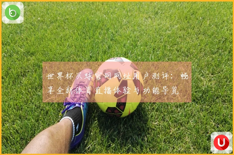世界杯买球官网网址用户测评：畅享全新体育直播体验与功能导览