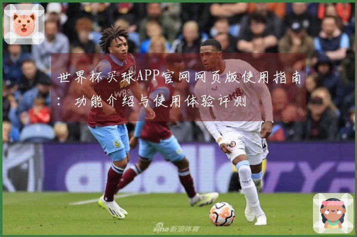 世界杯买球APP官网网页版使用指南：功能介绍与使用体验评测